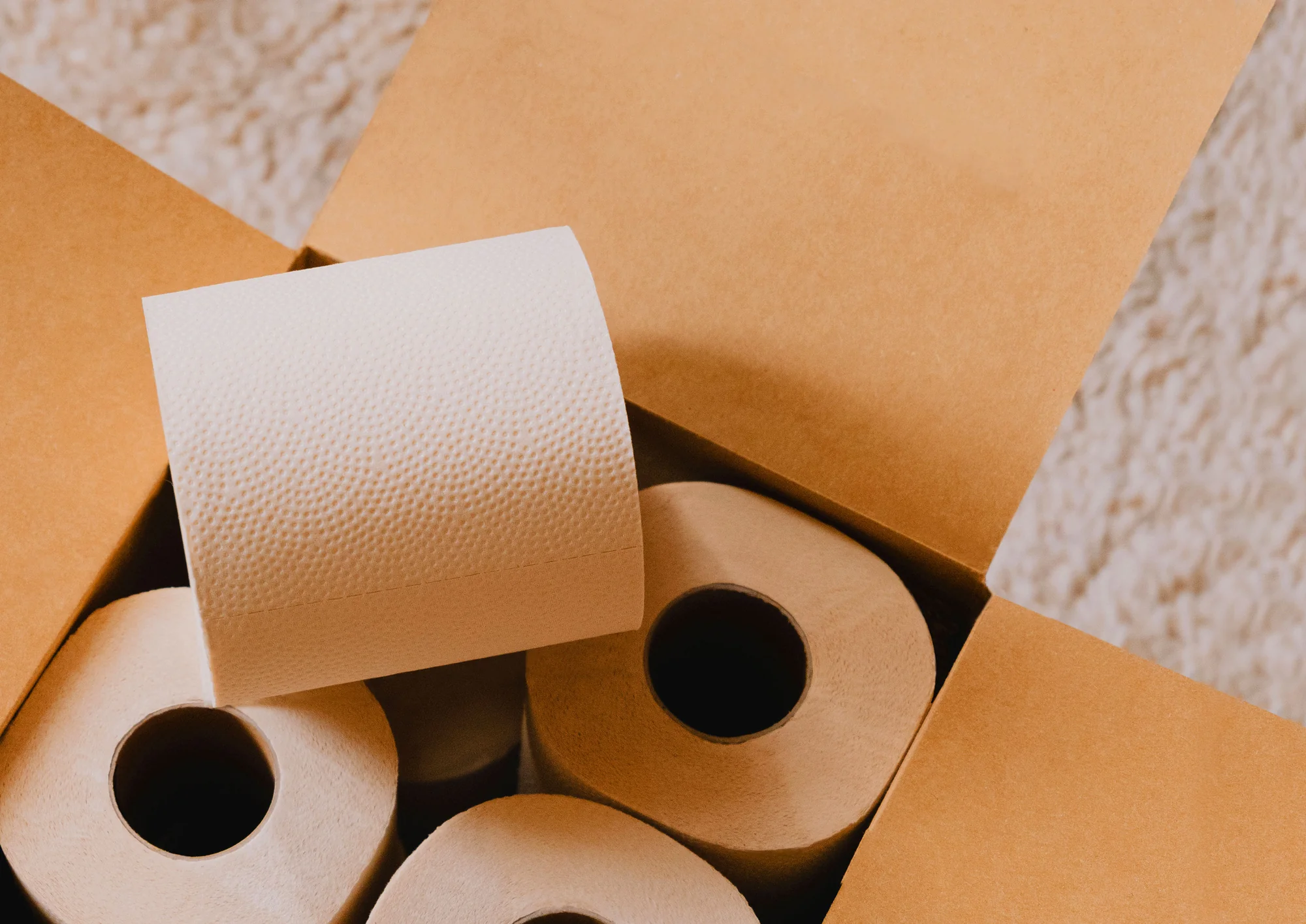 Copyright Plant Paper.